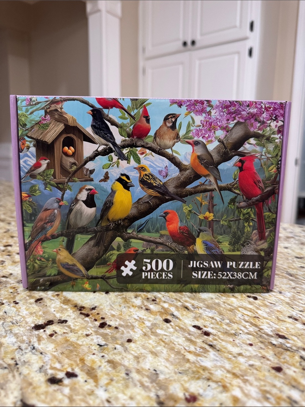 500 Piece Bird Puzzle